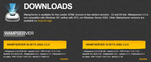Tombol download WampServer