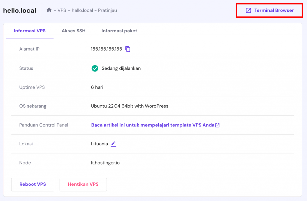 La página de resumen de VPS en hPanel. El botón Browser terminal está resaltado