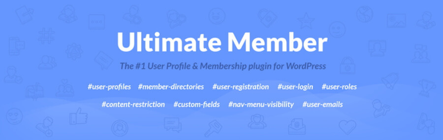 plugin instagram ultimate member