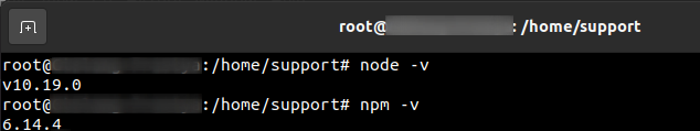verifikasi versi node.js dan npm di linux