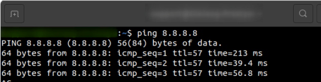 menjalankan command ping dengan terminal di ubuntu