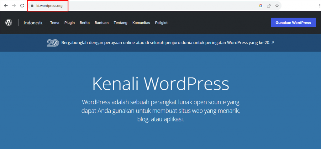 homepage wordpress dengan domain yang disorot di kolom alamat browser