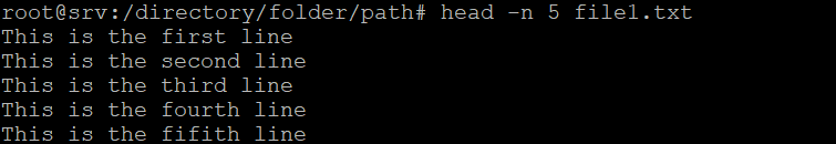 output perintah linux head n 5 di Terminal