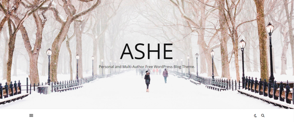 ashe tema website wordpress untuk fotografi