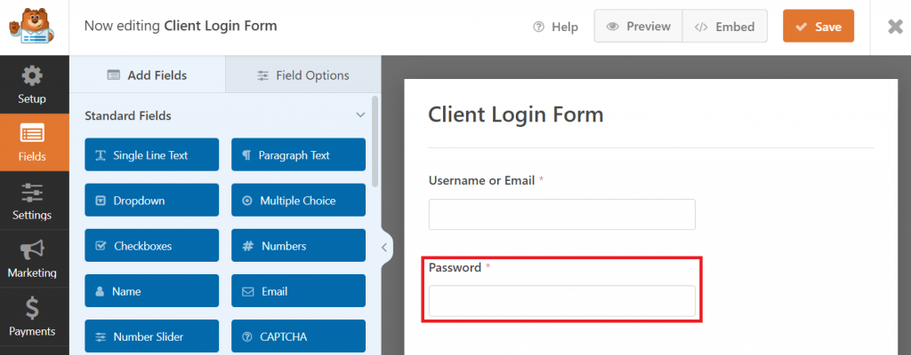 kolom Password di WPForms template formulir login