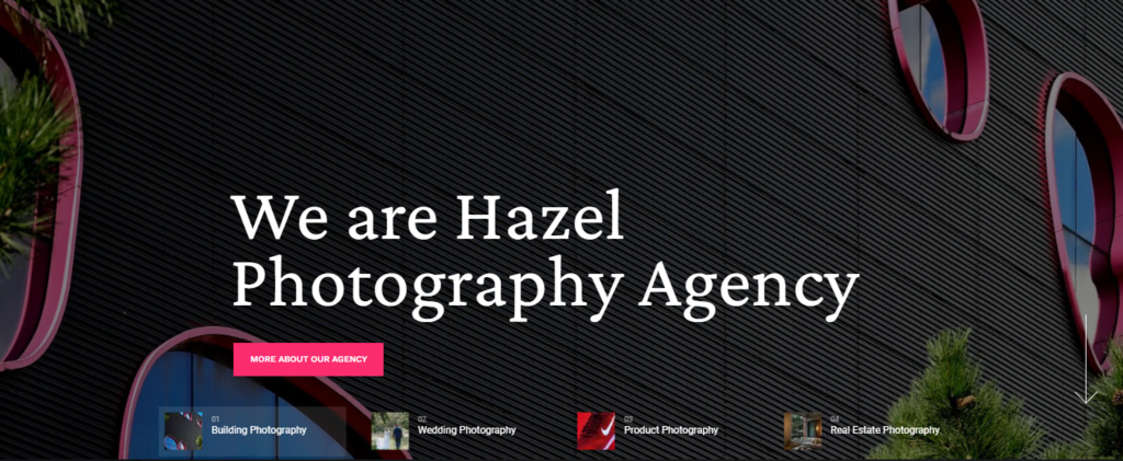 tema Hazel untuk website fotografi