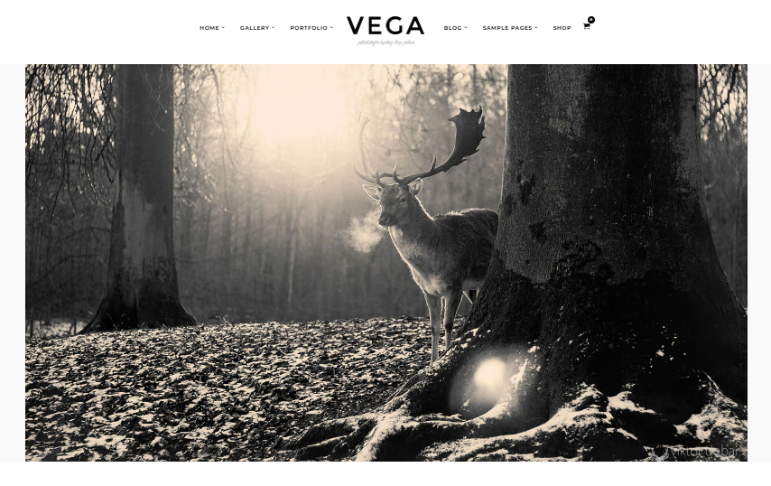 tema Vega untuk website fotografi WordPress